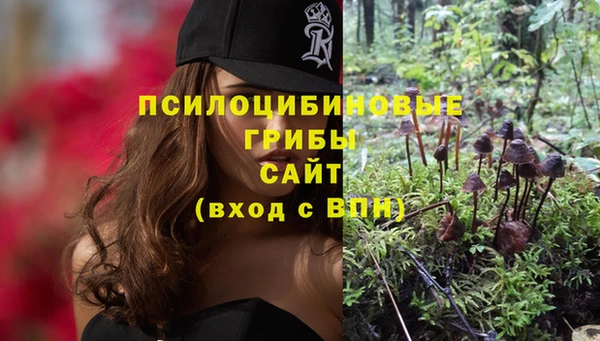 соль ск Липки