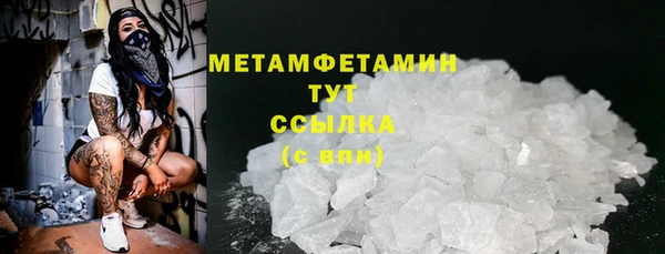 ГАЛЛЮЦИНОГЕННЫЕ ГРИБЫ Аркадак