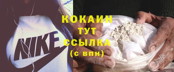 ГАЛЛЮЦИНОГЕННЫЕ ГРИБЫ Аркадак