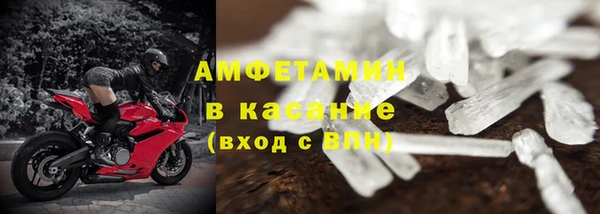 ГАЛЛЮЦИНОГЕННЫЕ ГРИБЫ Аркадак