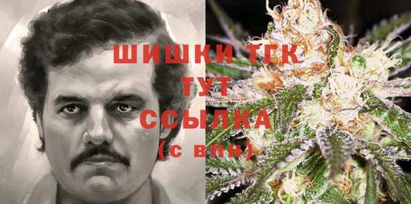ГАЛЛЮЦИНОГЕННЫЕ ГРИБЫ Аркадак