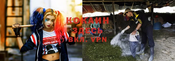 ГАЛЛЮЦИНОГЕННЫЕ ГРИБЫ Аркадак
