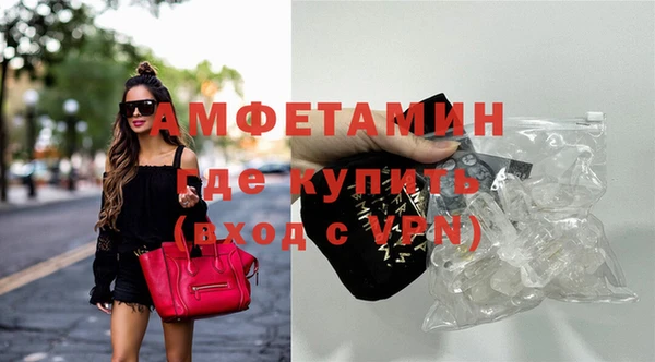 ГАЛЛЮЦИНОГЕННЫЕ ГРИБЫ Аркадак